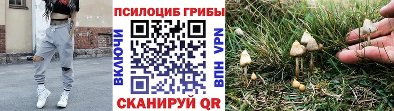 Галлюциногенные грибы MAGIC MUSHROOMS  Судак 